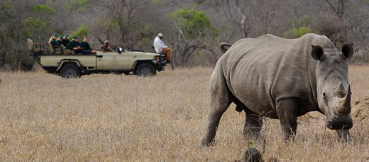 Sub‐Saharan Africa