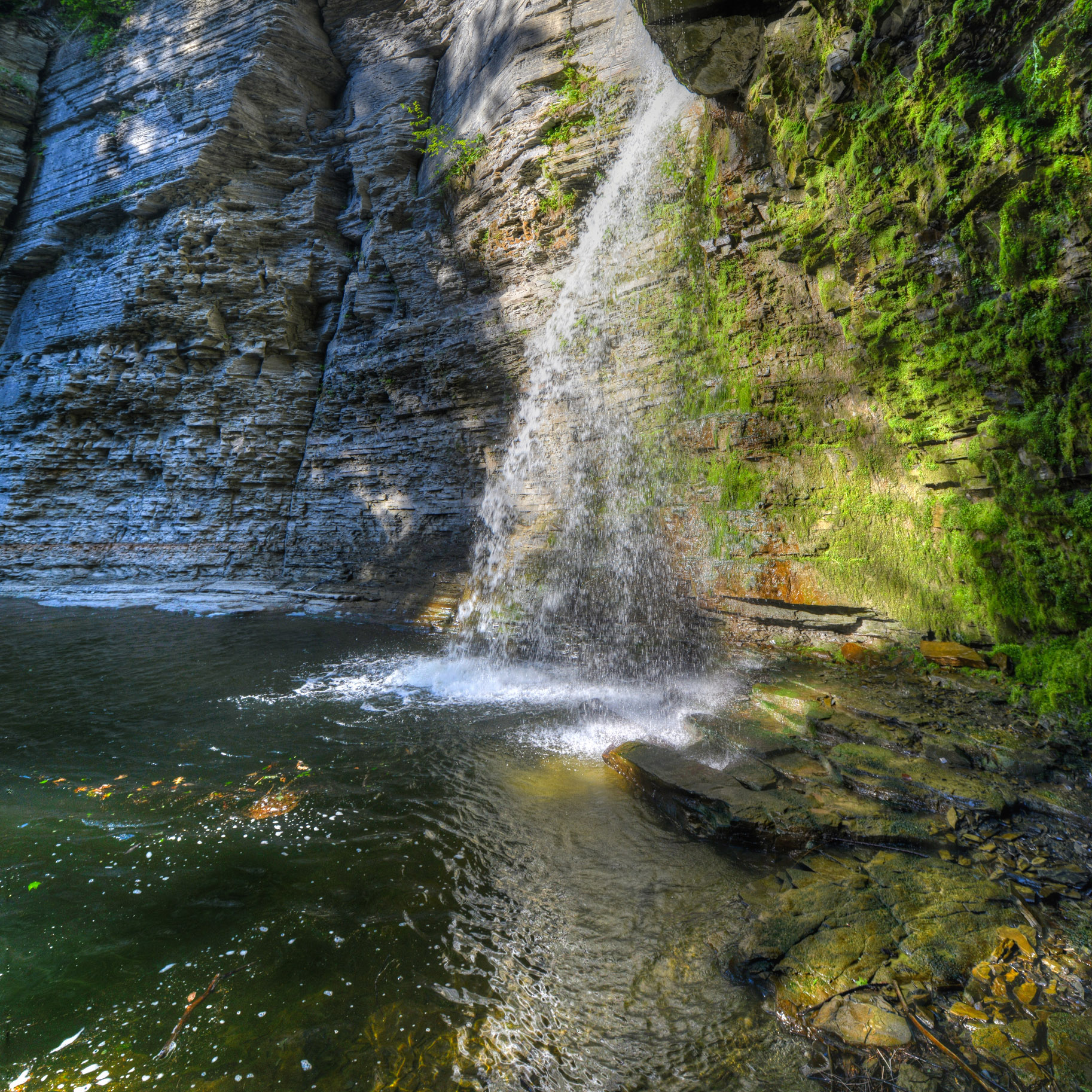 Finger Lakes, New York Beauty and Strength in the Shadow of Women's