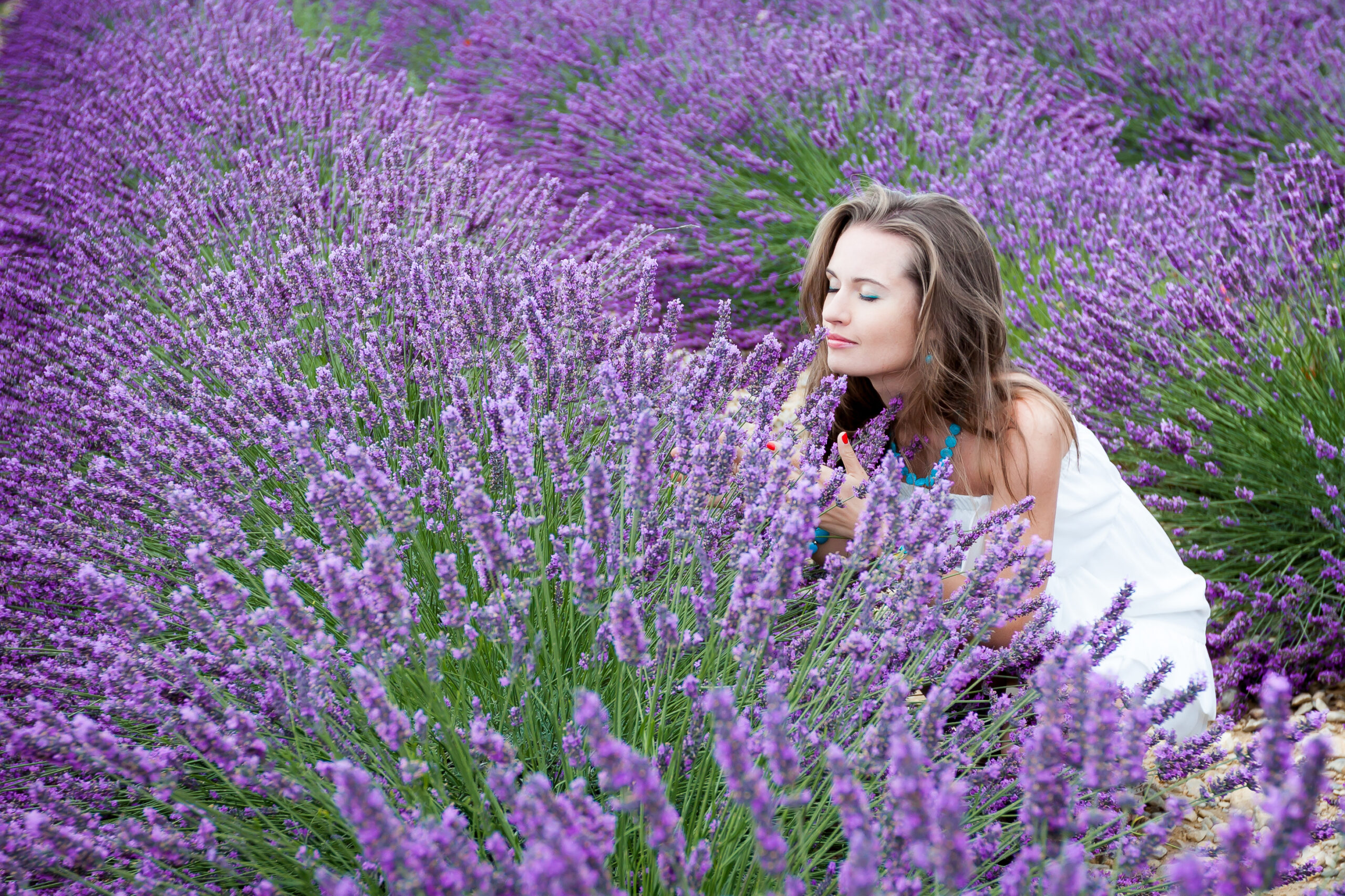 lavender fields of Provence, France | The Best European Summer Destinations to Add to Your Bucket List